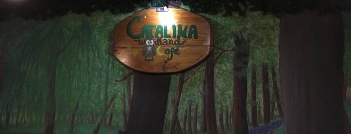 Catalina Woodland Cafe is one of Want to Try.
