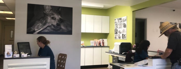 Bay Park Veterinary Clinic is one of Posti che sono piaciuti a Alison.