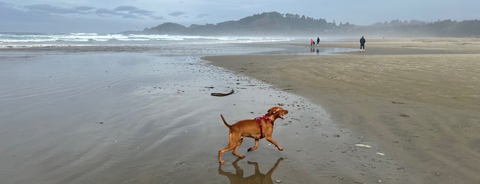 Agate Beach State Park is one of Been There.