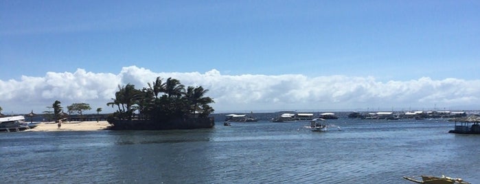 QQEnglish Seafront is one of Philippines.