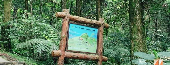 東眼山國家森林遊樂區 is one of สถานที่ที่บันทึกไว้ของ Rob.