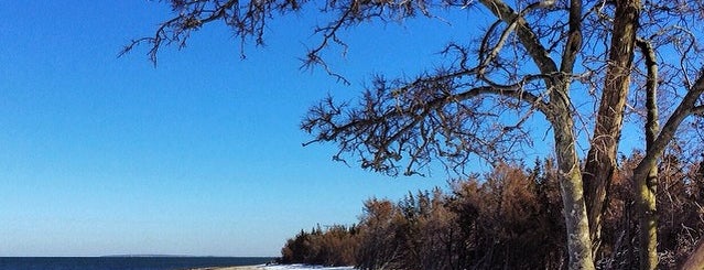 Ram Island Beach is one of shelter island.