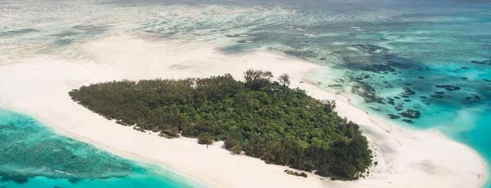 Mnemba Island is one of Zanzibar e Pemba.