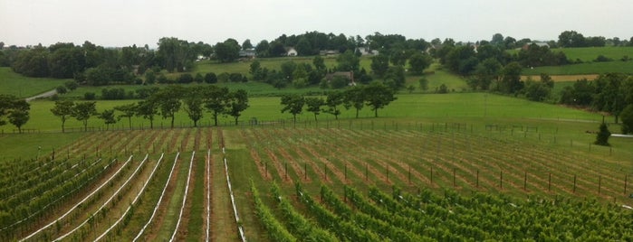 The Vineyard at Grandview is one of Mason-Dixon Wine Trail.