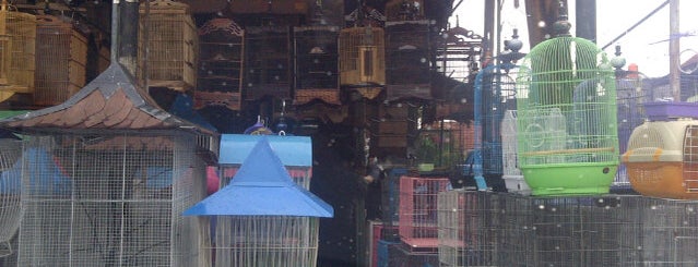 pasar burung is one of Jakarta.