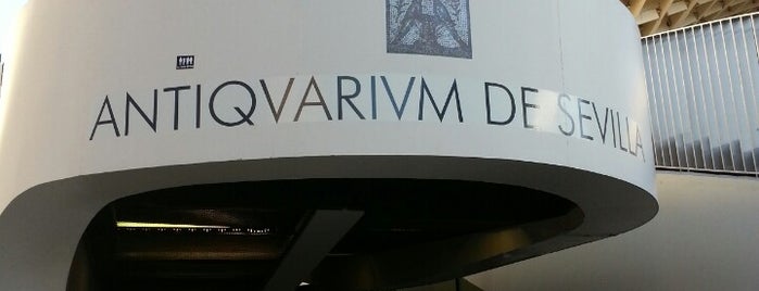 Antiqvarivm is one of Seville.