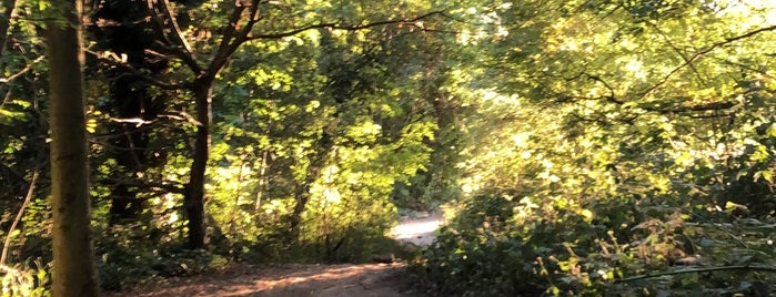 Fryent Country Park is one of Jason'un Beğendiği Mekanlar.