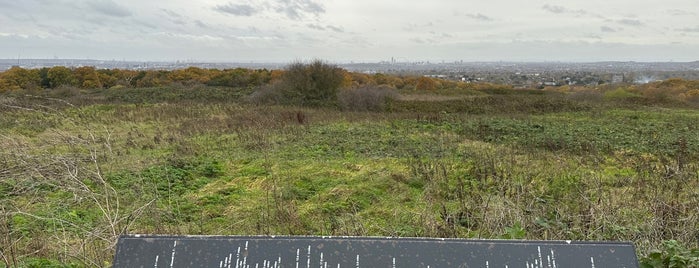 Stanmore Country Park is one of North london outdoors.