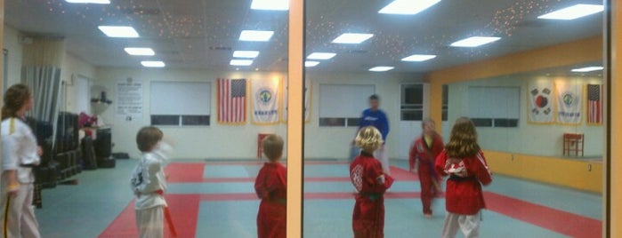 Lee's Traditional Tae Kwon Do is one of Locais curtidos por Will.