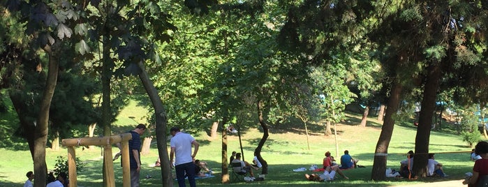 Maçka Demokrasi Parkı is one of Posti che sono piaciuti a Serpil.