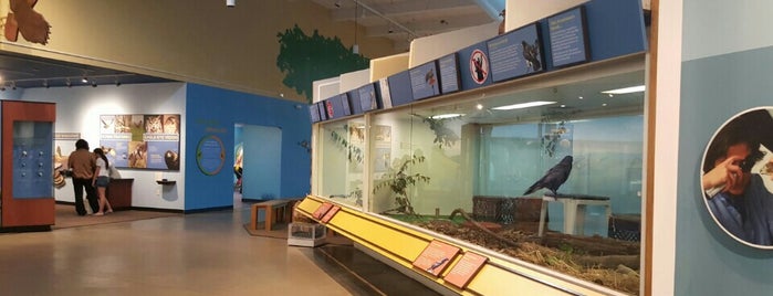 Lindsay Wildlife Museum is one of Tempat yang Disukai Michelle.