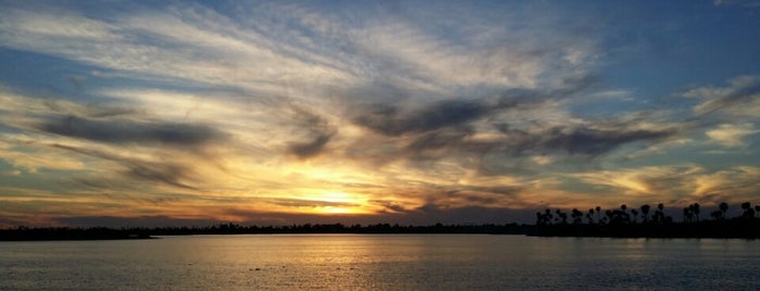 Mission Bay Park is one of Locais curtidos por Michelle.