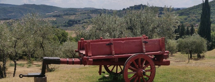 Azienda Agricola Panzanello is one of Chianti Classico Tasting at Winery.