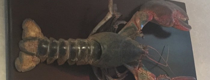 Lobster Pot is one of Rhode Dawgs.