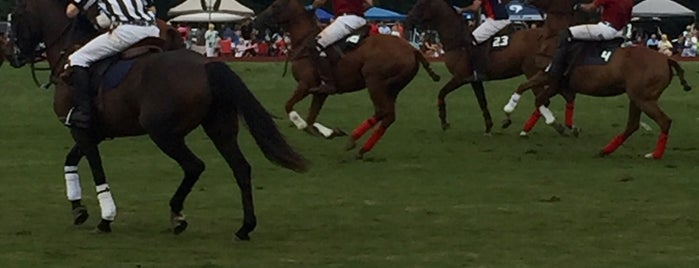 Newport Polo is one of Cape to do.