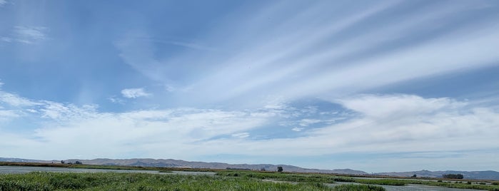 Suisun Marsh is one of Places I frequent.