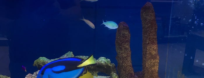 Marine Warehouse Aquarium is one of Things To Do.