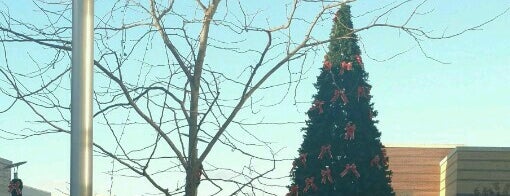 stonebridge christmas tree is one of Events.