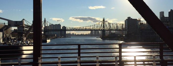 Roosevelt Island Bridge is one of New York.