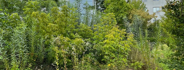 Schaugarten auf Poel is one of Oostzeekust 🇩🇪.