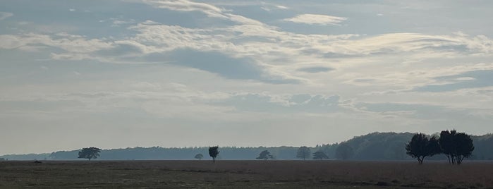 Nationaal Park Dwingelderveld is one of Nationale parken in Nederland.