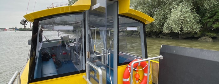 Waterbus - Halte Plantagelaan - Lijn 19 is one of Rotterdam Oost 🇳🇬.