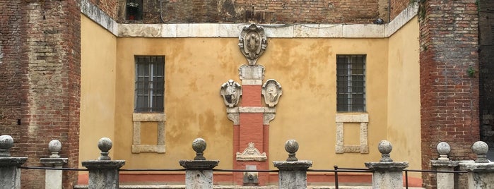 Contrada di  Valdimontone is one of Siena 🇮🇹.