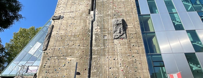Climbing Wall is one of City Sport Venues.