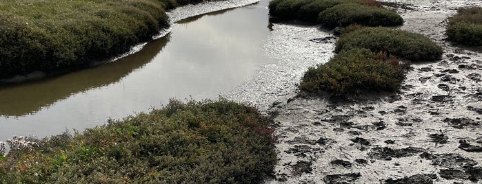 Natuurreservaat De Slufter is one of Texel.