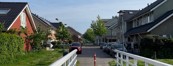 Sveaborg is one of Schiedam 🟡⚫️.