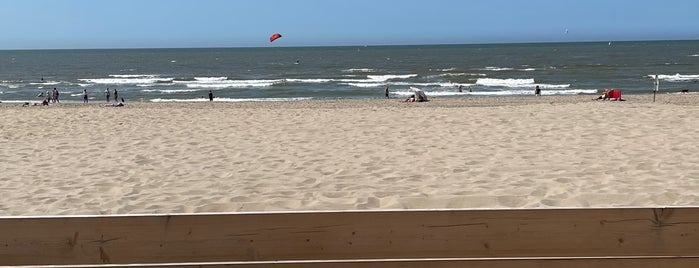 Strandpaviljoen De Fuut is one of Den Haag🖤.