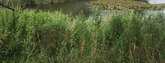 RBOC Fort Markenbinnen is one of Stelling van Amsterdam.