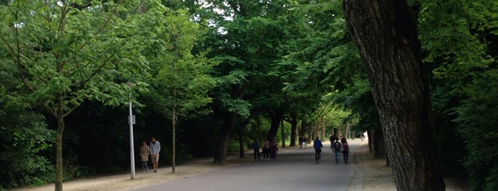 Vleugelnotenlaan is one of Vondelpark ❌❌❌.