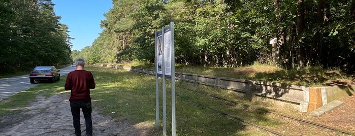 Bahnsteig am Haltepunkt Werk Ost is one of Oostzeekust 🇩🇪.