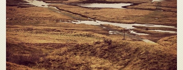 Natuurreservaat De Slufter is one of Texel.