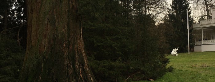 Sequoia is one of Vliegbasis Soesterberg & De Paltz.