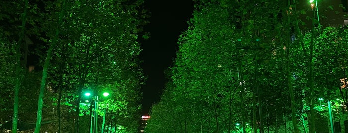 Torenallee is one of GLOW Eindhoven 2021.