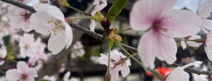 이마미야신사 is one of 甘味.