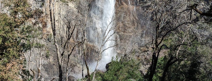 Bridalveil Falls is one of Yosemite National Park.