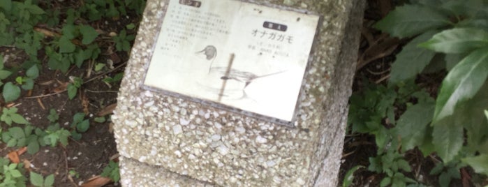 東海緑道公園 is one of Seabass Points.