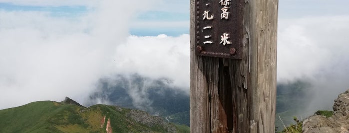 富良野岳山頂 is one of 花の百名山.