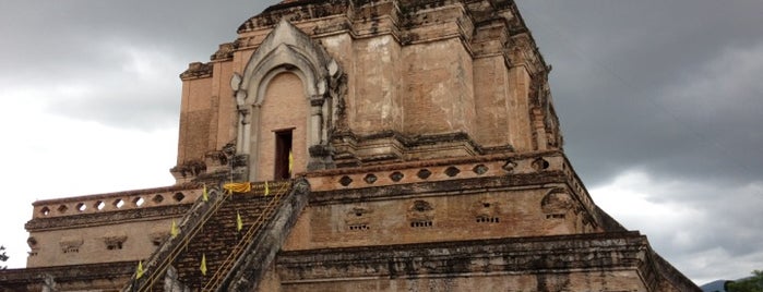 Wat Chedi Luang Varavihara is one of Thai Flowers.