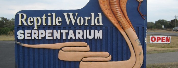 Reptile World Serpentarium is one of Florida's Craziest Attractions.