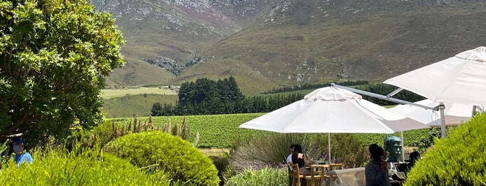Creation Wine Estate is one of wineries.