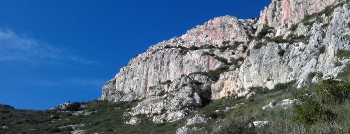 Jardin Japonais is one of Climbing around Toulon.