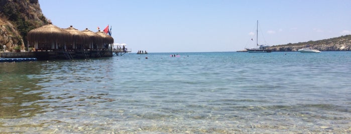 Altınorfoz Beach is one of Orte, die KanGurular gefallen.