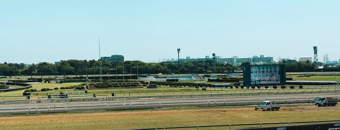 Nakayama Racecourse is one of 立ち寄り先.