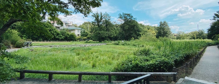 Aquatic Plant Garden is one of 東京散歩.