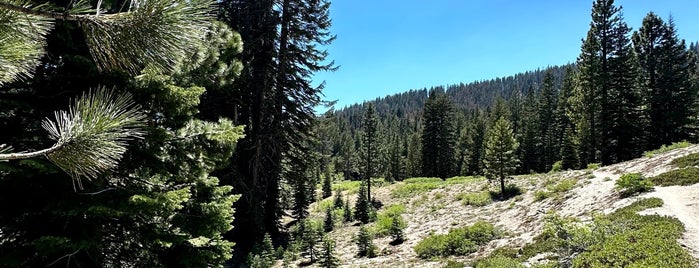 Incline Flume Trailhead is one of Tahoe to do list.