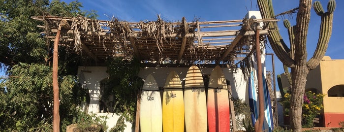 Costa Azul Surf Shop is one of Cabo.